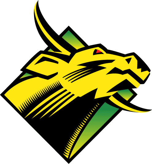 South Florida Bulls 1997-2002 Primary Logo diy DTF decal sticker